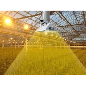 Aluminum Hood Greenhouse Grow Lights With 1000 Watts Double - Ended HPS Lamp