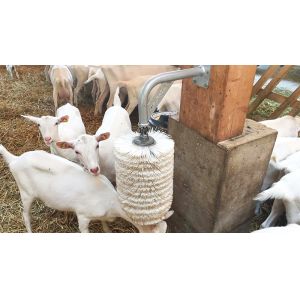 Buy cheap Customizable Quick Build Pig Shed with Steel Structure and Aluminum Alloy Window from wholesalers