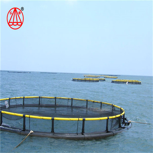 Recyclable Floating Fish Cage Environmentally Friendly Pontoon Easy Installing