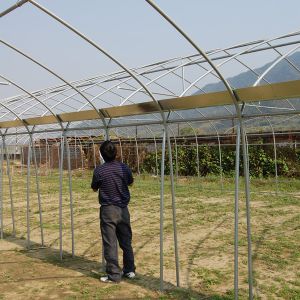 Buy cheap Smart Industrial Multi Span Greenhouse For Vegetable Growing from wholesalers