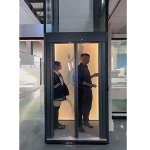 Buy cheap Luxury Traction Home Elevator | Smart Microprocessor Control from wholesalers