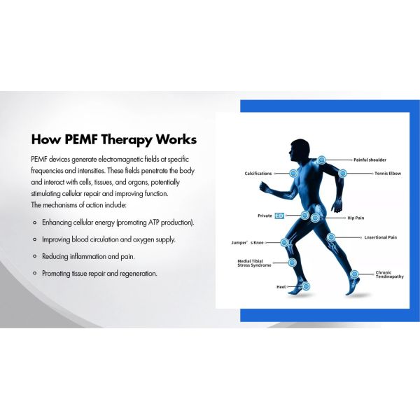 Pmst Loop Pemf Therapy Machine For Human Pain Relief Animals Health Care