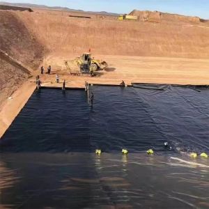 Double Smooth HDPE Geomembranes 2.0mm Impermeable Membrane for Environmental