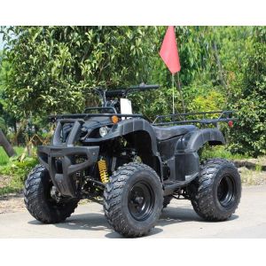 Buy cheap CVT Transmission Youth Racing Atv Air Cooled CDI Ignition from wholesalers
