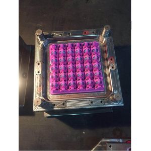 Buy cheap PET Egg Crate Making Machine Fully Automatic Egg Tray Machine from wholesalers