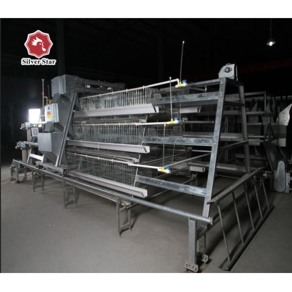 Quality Broiler Baby Chick Cage With Full Feeding System for sale