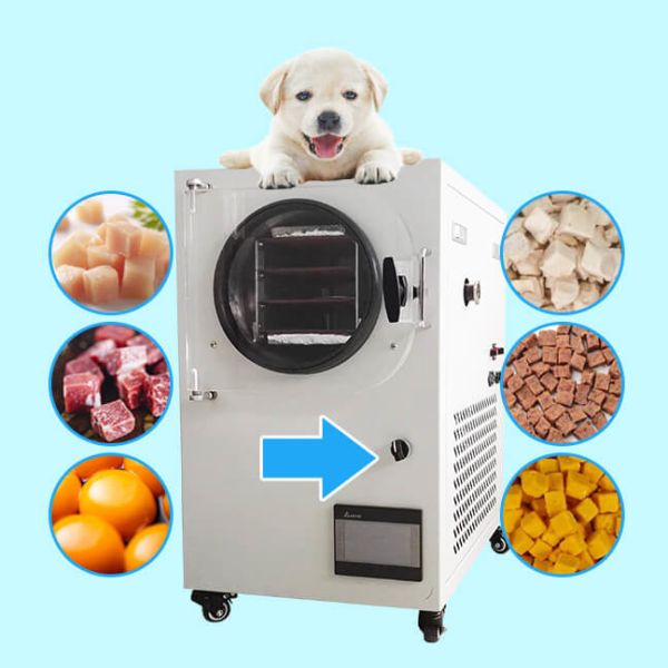 Quality ISO Commercial Freeze Dry Machine For Meat Fruit Vegetable for sale