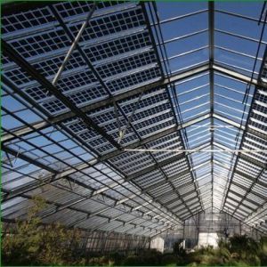 Buy cheap Hydroponic Ventilation Photovoltaic Greenhouses 6/9 and 6/12 Meters for Crop Production from wholesalers