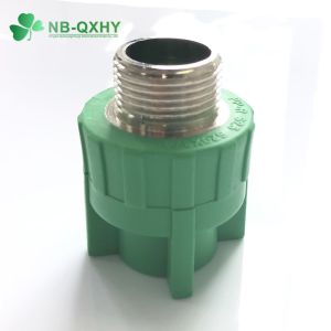 DIN Standard PPR Male Coupling Threaded Plastic Pipe Fitting for Control