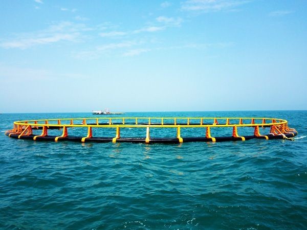Buy cheap 1 Year After-sales Service for Black and Yellow Deep-Sea Super Aquaculture Cages Provided by Chinese Suppliers from wholesalers