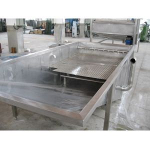 Buy cheap Full Automatic Fruit Processing Equipment Surfing Bubble Washing Machine from wholesalers