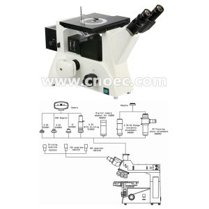 Buy cheap 200X APO Metallurgical Microscopes , WF10X - 22mm Rohs CE A13.0210 from wholesalers