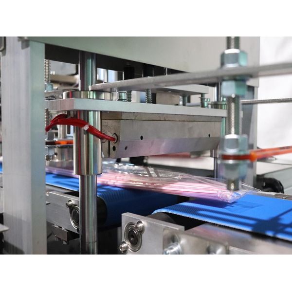 Customizable Automatic Counting Packaging Machine For 50 Pcs 300mm Long Colorful Drinking Straws