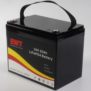 Buy cheap Built-in BMS 24V Lithium Iron Phosphate Battery with 3C Discharging Rate and 20A Maximum Charging Current from wholesalers