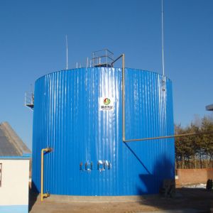 CSTR Anaerobic Digester Anaerobic Digestion Equipment Wastewater Treatment