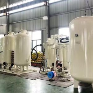 High Capacity 1-2000m³/h PSA Nitrogen Generator for Pharma Industry with 220