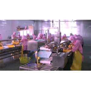 Stable SUS304 Fish Skinner Machine , Semi Automatic Sardine Cleaning Machine