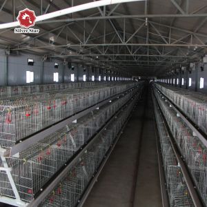 Buy cheap 110 Days Baby Chick Brooder Cage Fully Automatic H Type from wholesalers