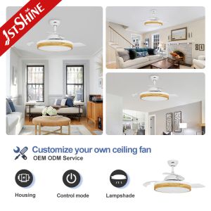 Buy cheap Support Dimmer 220V Hidden Blade Ceiling Fan With Chandelier Lighting 42" Blade Size from wholesalers