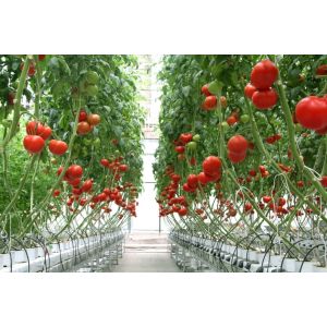 660nm 3000K High PPFD LED Grow Light