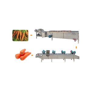 carrots 10.1kw 1500kg/h SS304 Vegetable Dryer Machine
