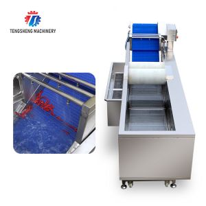 China 250KG The manufacturer provides a reversible air dryer for fruit ozone disinfection and fruit washing machine on sale