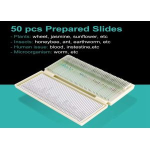 Buy cheap Human Body Prepared Microscope Slides 100 Pieces With Identification Labels product