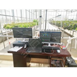 Buy cheap Premium PC Sheet Sustainable Greenhouse , Forest Garden Greenhouse Multi Span Type from wholesalers