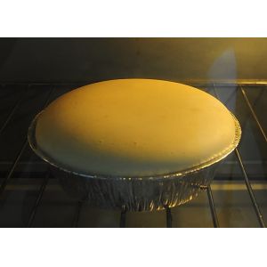 E471 Distilled Monoglyceride HI20 High Iodine Value Emulsifiers & Stabilisers