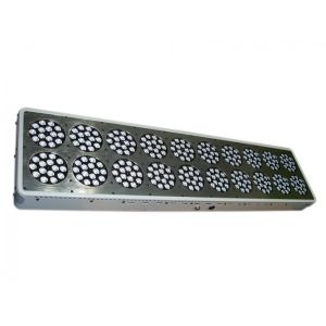 Buy cheap Magnum Plus 900W Apollo LED Grow Light Apollo 20 300*3W LED Grow Light Full Spectrum for from wholesalers