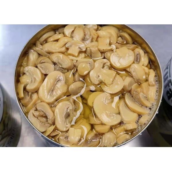 HACCP Canned Champignon Mushroom 2840g In Brine