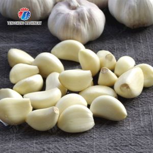 Buy cheap Garlic splitting machine minced garlic processing production Line from wholesalers