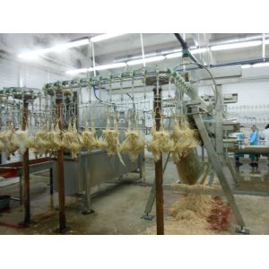 Buy cheap Chicken Plucking Machine Different Output Decided by Processing Demands from wholesalers