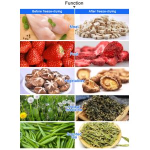 Buy cheap Household Freeze Dry Machine Toption China Freeze Dry At Home from wholesalers