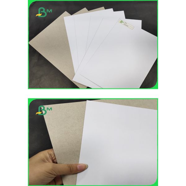 FSC & EU CCNB Paper 300 / 400gsm In Rolls As Pack Material 900mm 1220mm FSC & EU CCNB Paper 300 / 400gsm In Rolls As Pack Material 900mm 1220mm
