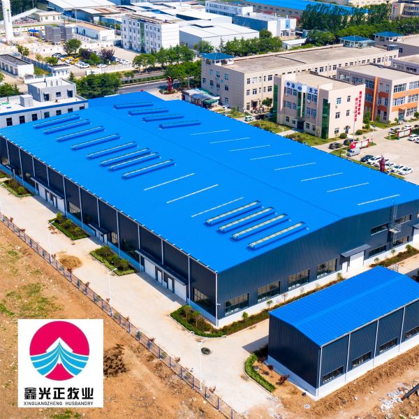 Quality Q355B Bolt Connection Light Steel Structure Warehouse for sale