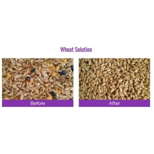 Grain Processing Equipment CCD Grain Color Sorter Optical Grain Sorting Machine