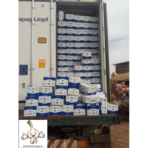 Quality Garlic to Senegal with 10kg carton box.Normal white garlic export. for sale