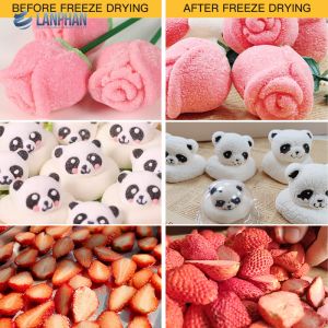 Buy cheap Vacuum Freeze Dryer Multifunctional  Home Freeze Drying Machine For Vegetable Fruit Juice from wholesalers