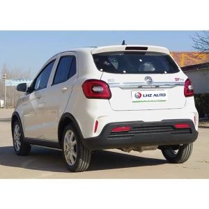 s Top Choice 100% Electric Car with Lithium Ion Battery and No Driver's License