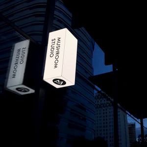 Advertising Double Sided Light Box Shop Ceiling Wall Mounted Illuminated