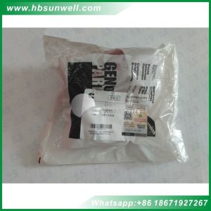 Buy cheap Cummins engine parts L10 M11 Thermostat Housing Plain Hose 3820667 from wholesalers