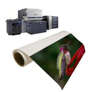 Buy cheap Luste Satin Fast Printable Indigo Paper For Hp Printing from wholesalers