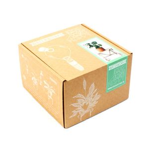 Custom Printed Paper Corrugated Cardboard Grown Live Plant Shipping Box For