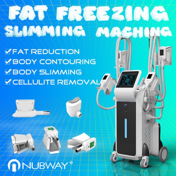 Professional Forimi cool sculpting technology body slimming weight loss