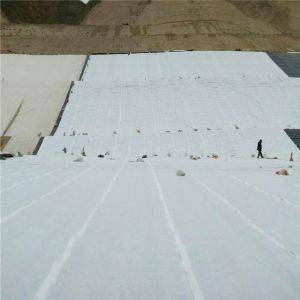 Buy cheap Polyethylene Resin and Nonwoven Fabric 3D Composite Geonet for Optimal Water Control from wholesalers