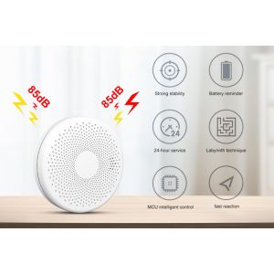 Buy cheap Combination Smoke and Carbon Monoxide Detector with AA replace Battery Operated Smoke CO Alarm Detector from wholesalers