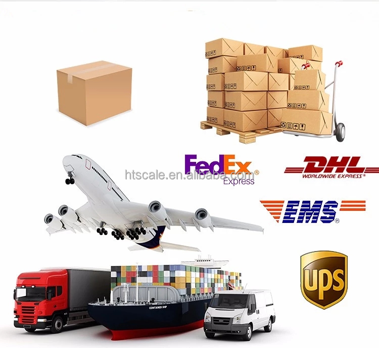 Lightweight and Accurate 50kg Digital Luggage Scale Travel Accessories with 110lbs Capacity Hanging Luggage Weighing Scale