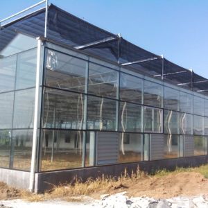 Buy cheap High Yield Vegetable Glass Seedling Greenhouse For Tomato / Cucumber product