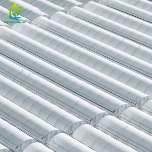 Buy cheap 1m-12m Width Greenhouse Plastic Film from wholesalers